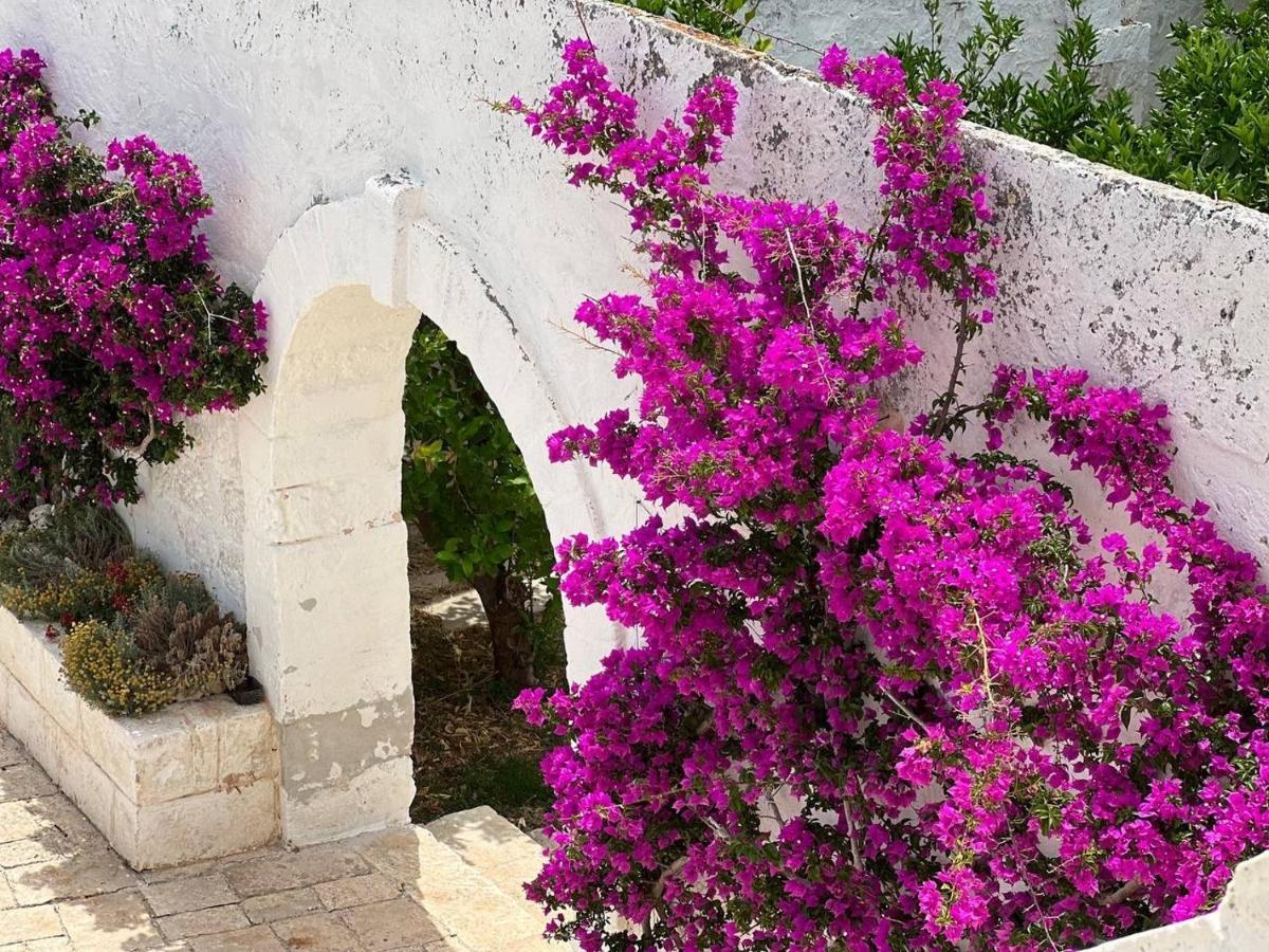 Masseria Piccole Taverne Rosa Marina Exterior photo