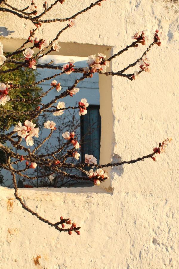 Masseria Piccole Taverne Rosa Marina Exterior photo