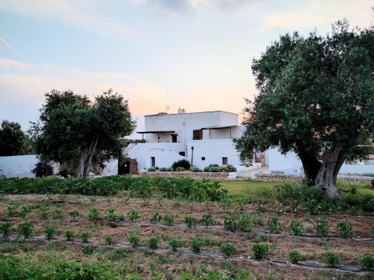 Masseria Piccole Taverne Rosa Marina Exterior photo
