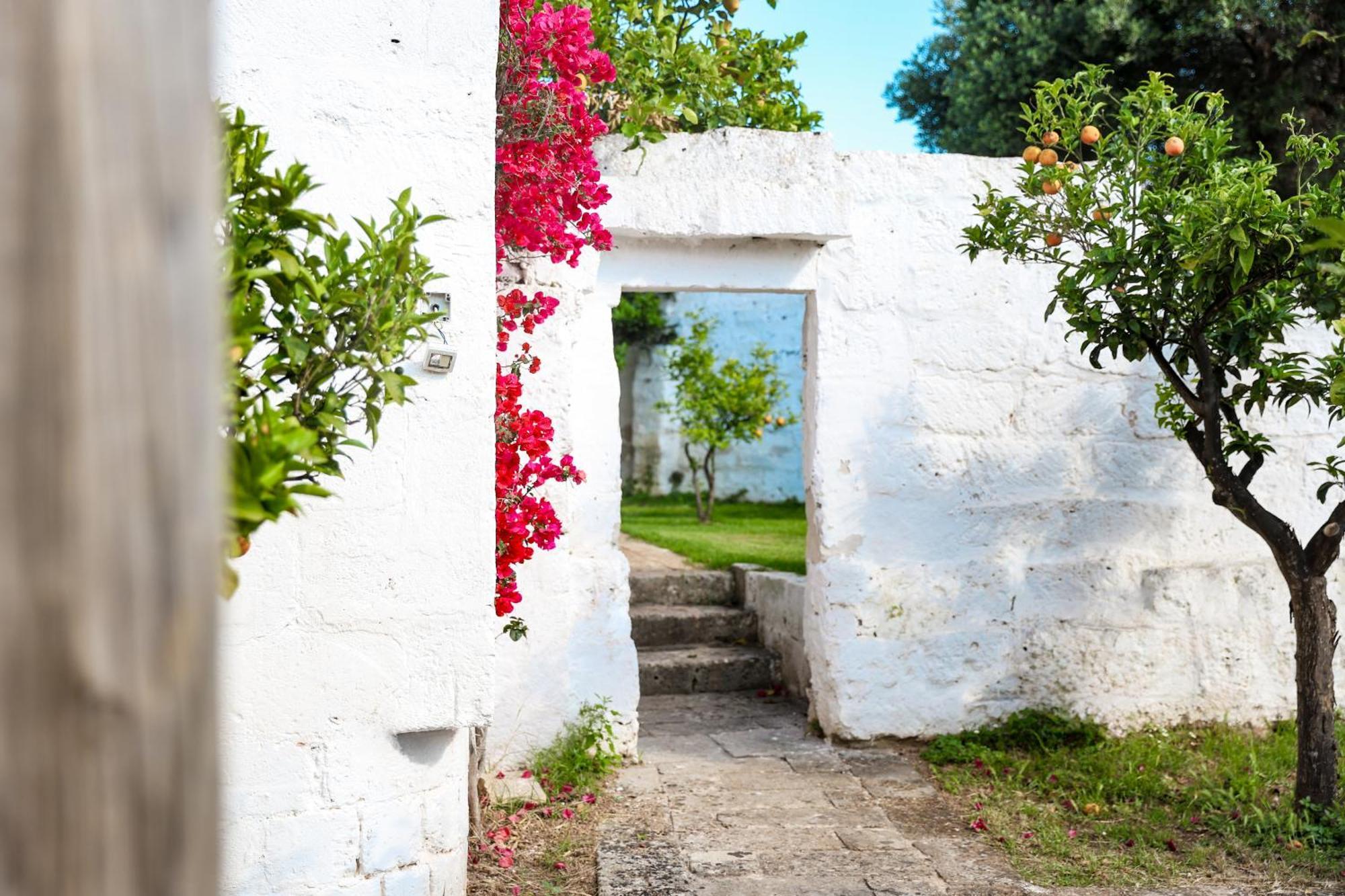 Masseria Piccole Taverne Rosa Marina Exterior photo