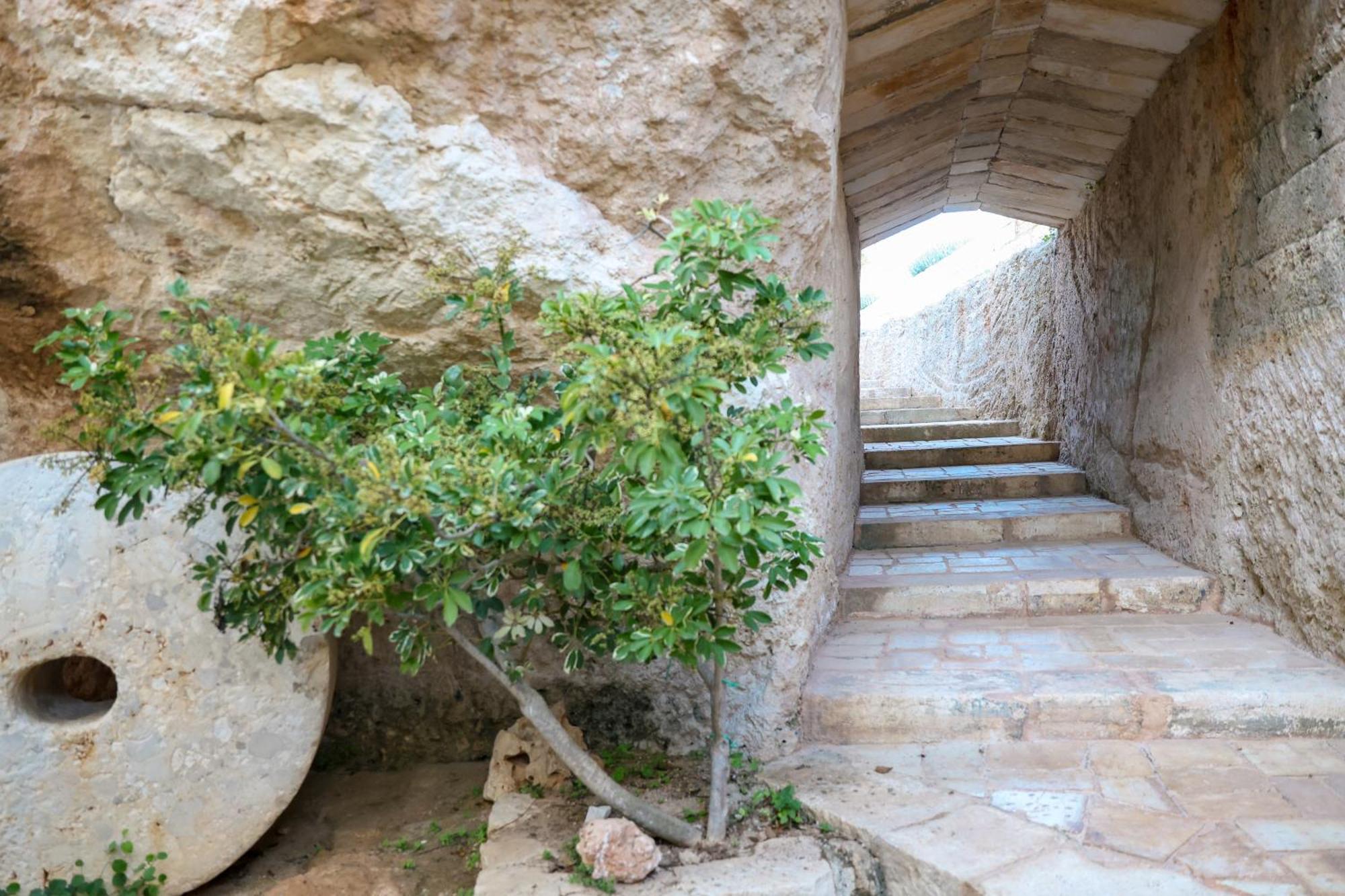 Masseria Piccole Taverne Rosa Marina Exterior photo