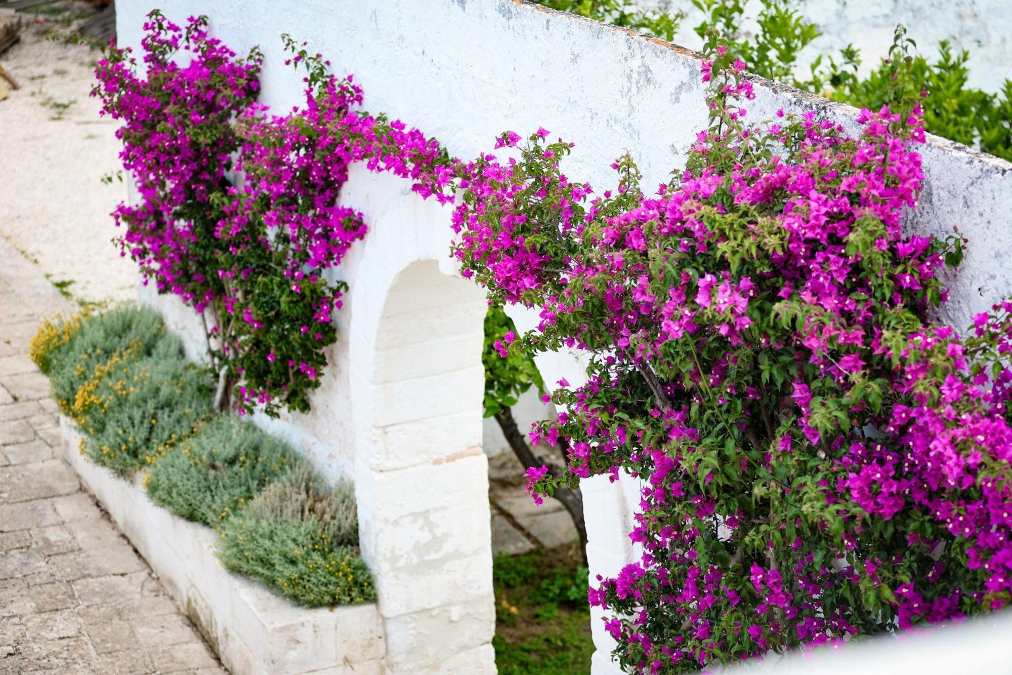 Masseria Piccole Taverne Rosa Marina Exterior photo