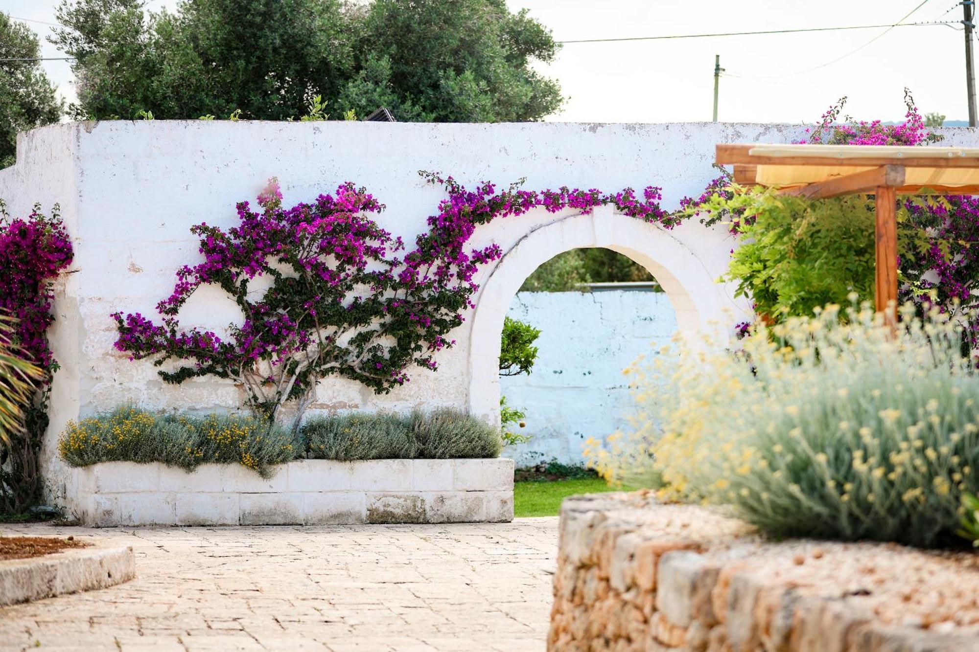 Masseria Piccole Taverne Rosa Marina Exterior photo