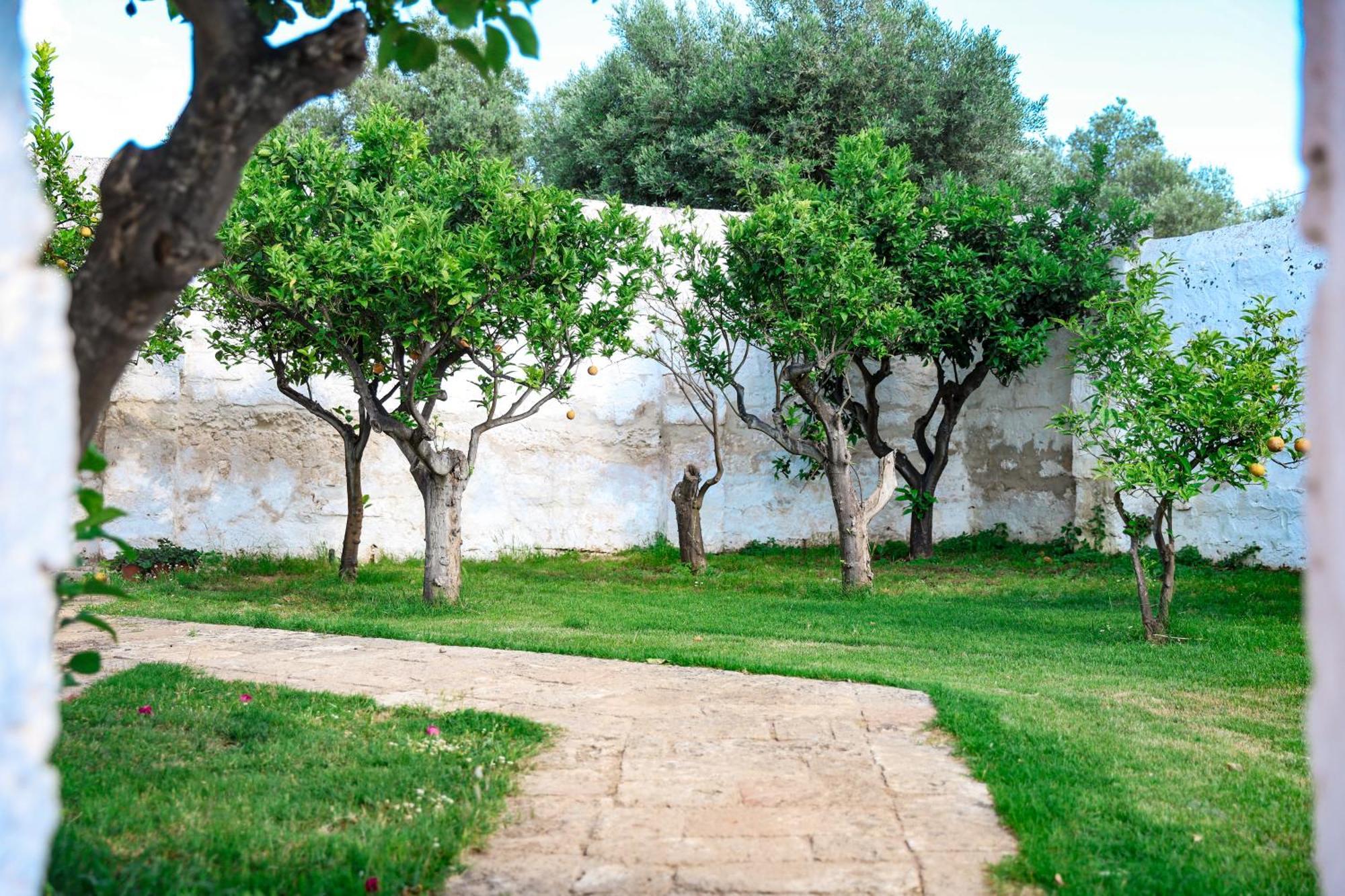 Masseria Piccole Taverne Rosa Marina Exterior photo
