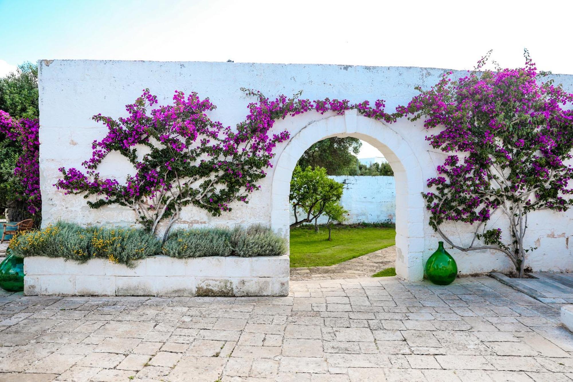 Masseria Piccole Taverne Rosa Marina Exterior photo